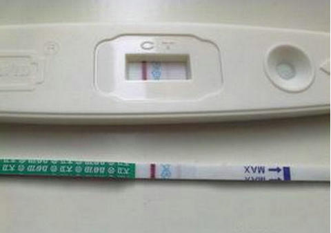 专家